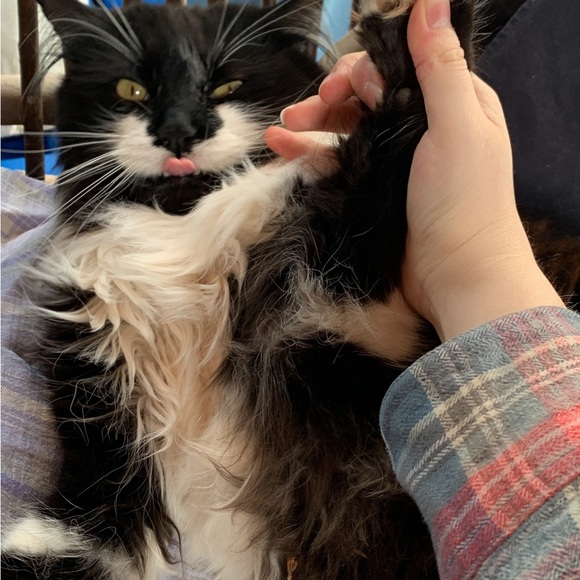 Meet your Posher, Zoé - Picture 4 of 7